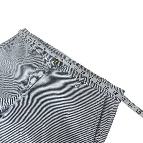 Talbots Petite Women Blue Striped Girlfriend Chino Pant SZ 10P Business Casual - Picture 5 of 10